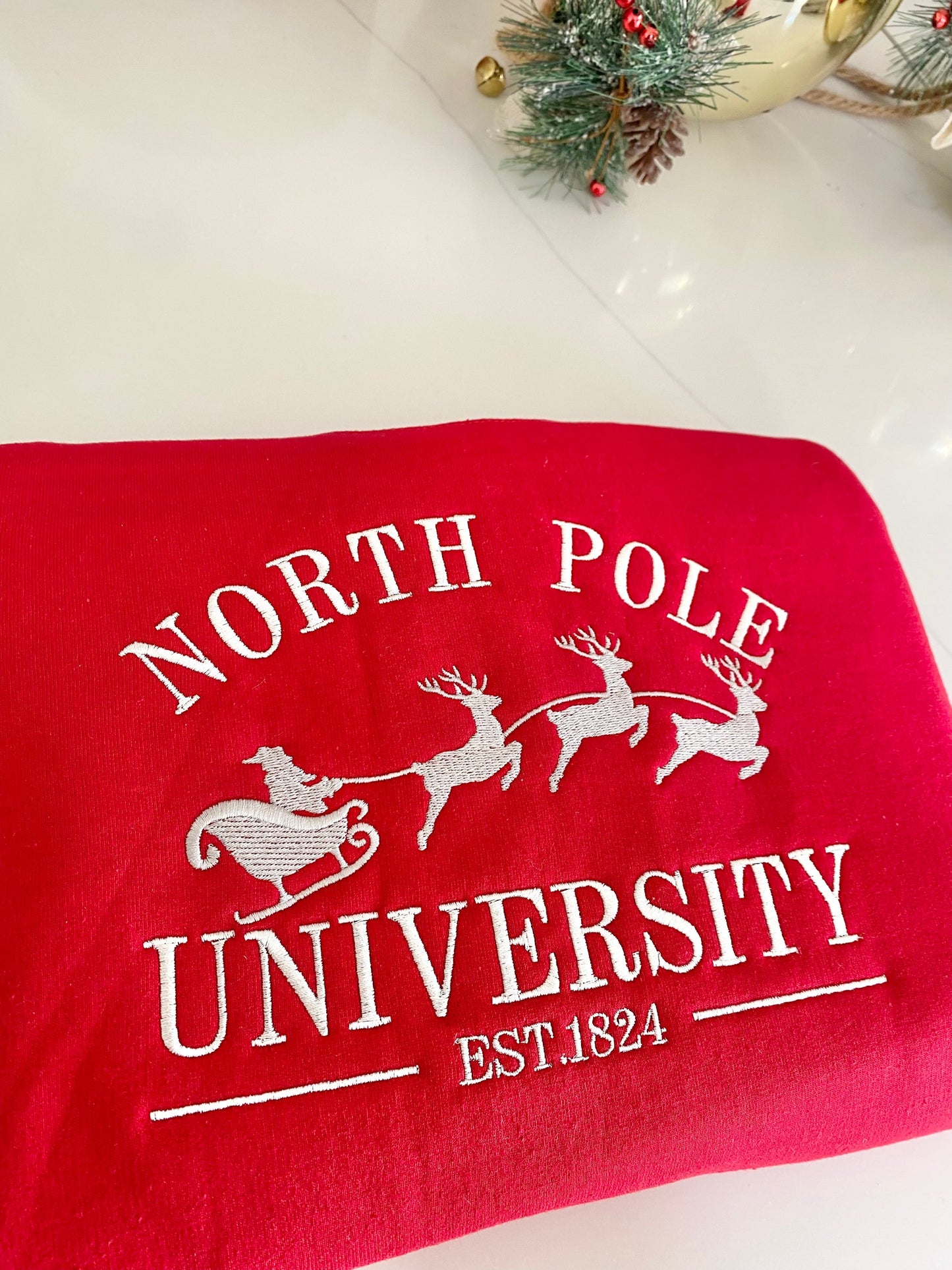 North Pole University  image 6