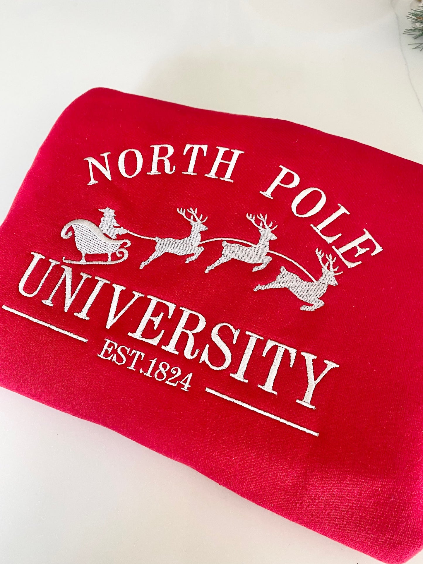North Pole University  image 0